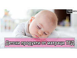 Детска Колекция ТЕД